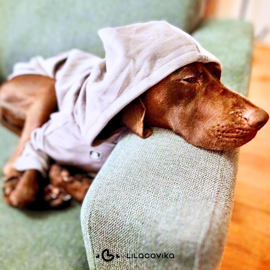 Super Soft Velvet Hoodie