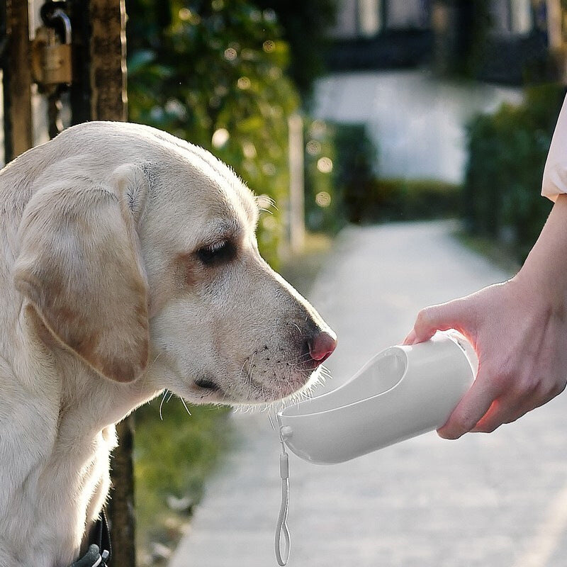 The Classic Pet Water Bottle