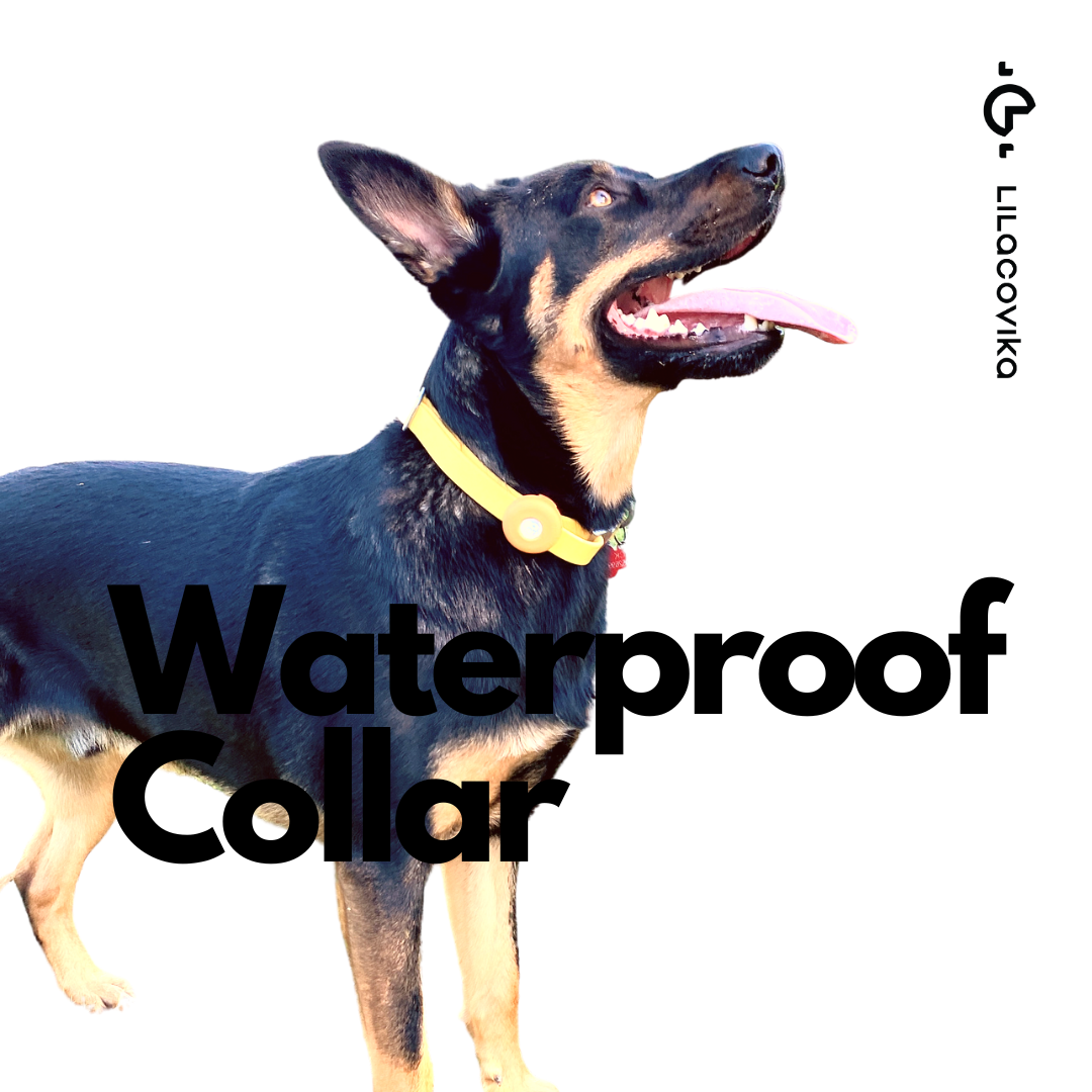 Waterproof Collar