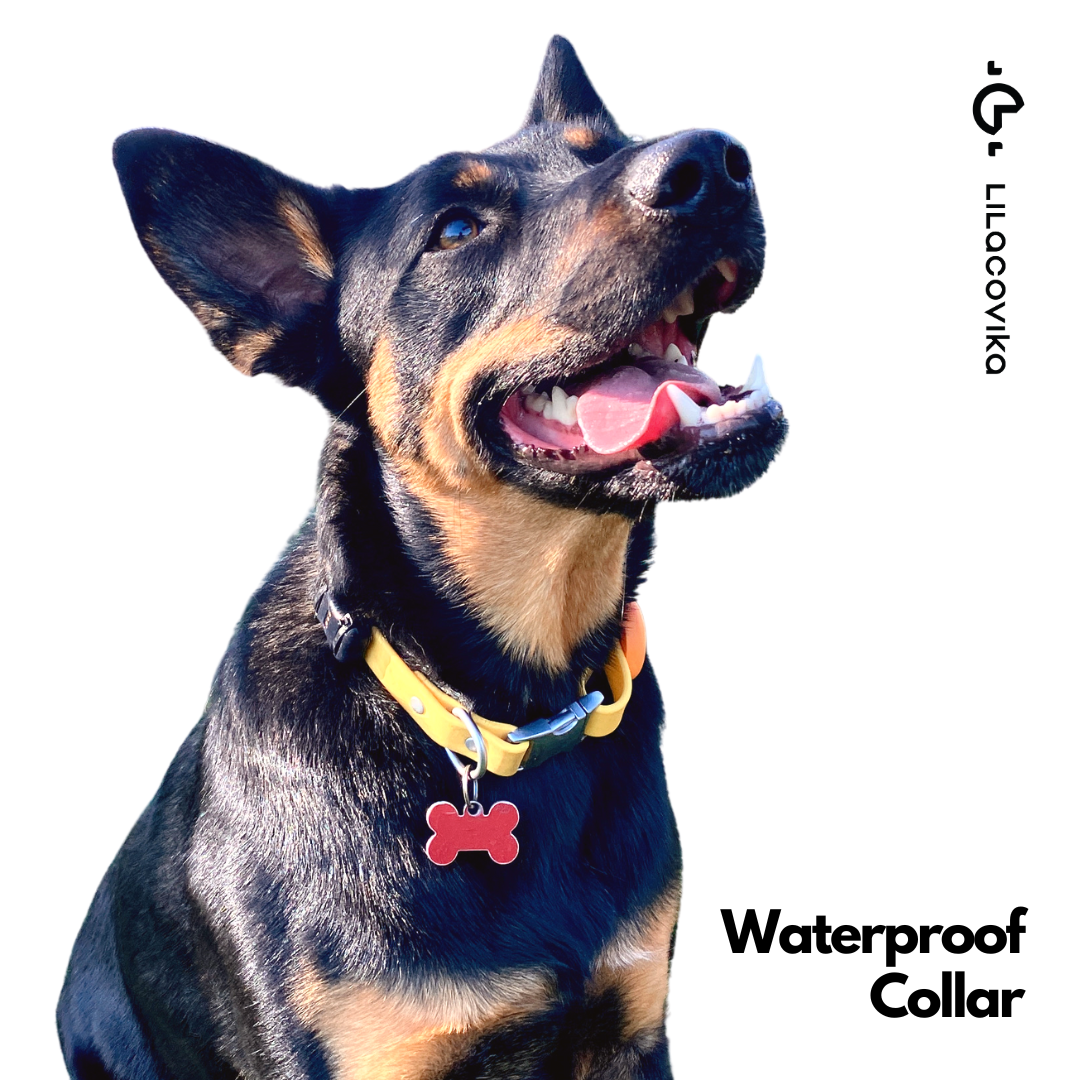 Waterproof Collar