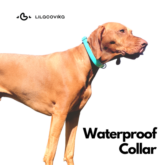 Waterproof Collar