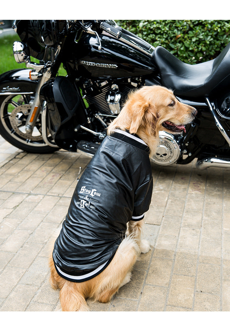 The Coolest Zipper Jacket