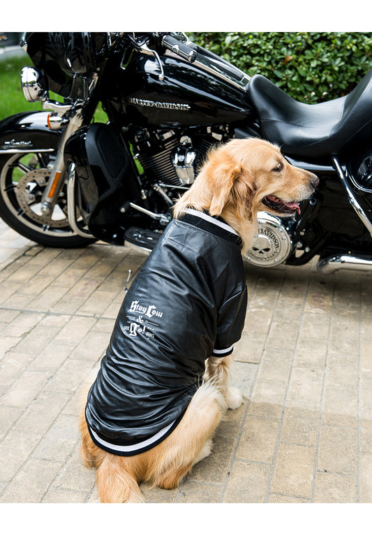 The Coolest Zipper Jacket