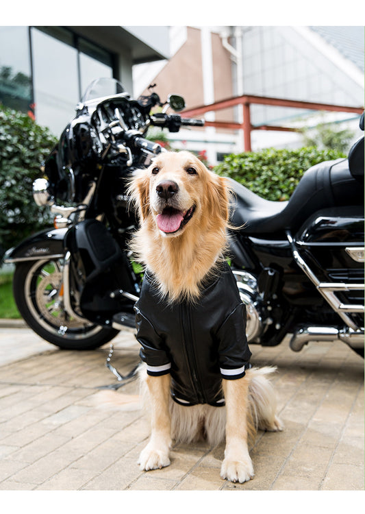 The Coolest Zipper Jacket